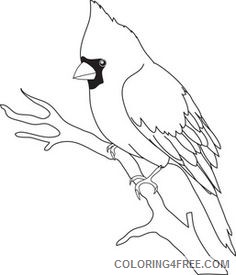 Small Bird Coloring Pages bird of a bird Printable Coloring4free