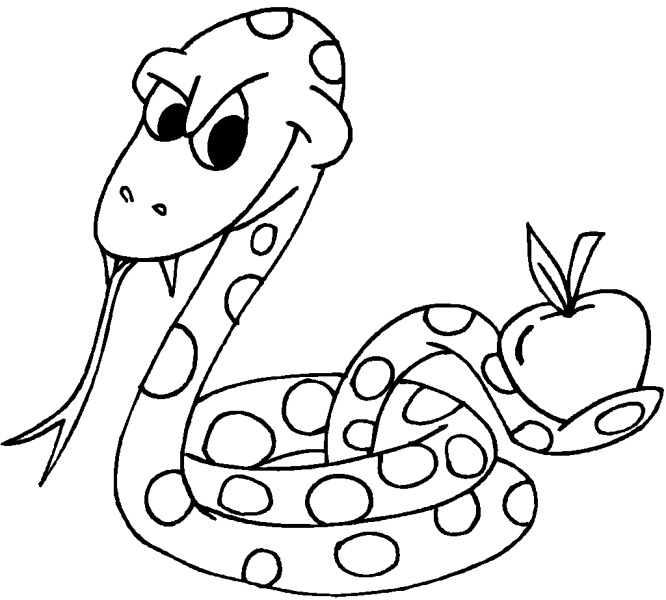 Snake Coloring Pages snakes animal 7 Printable Coloring4free
