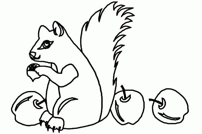 Squirrel Coloring Pages squirrel animal 1 Printable Coloring4free