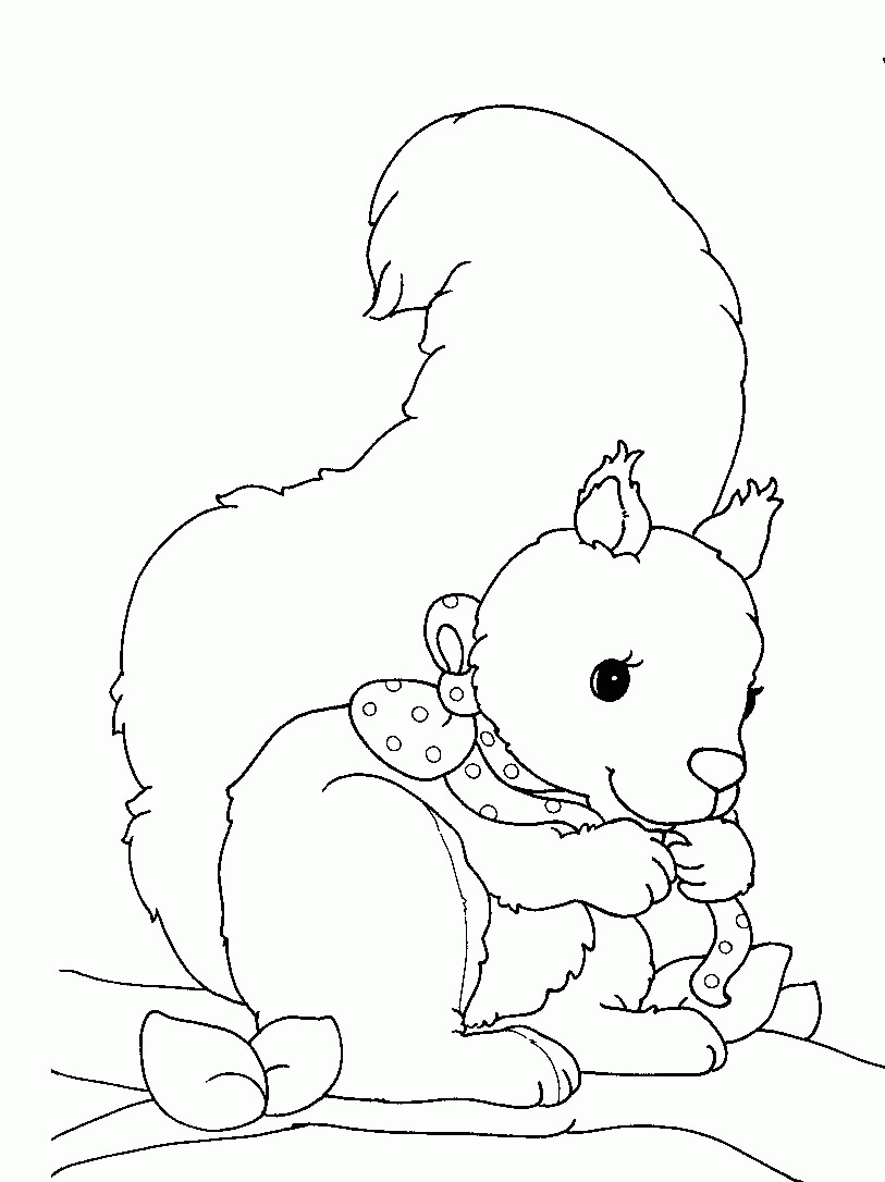 Squirrel Coloring Pages squirrel animal 20 Printable Coloring4free