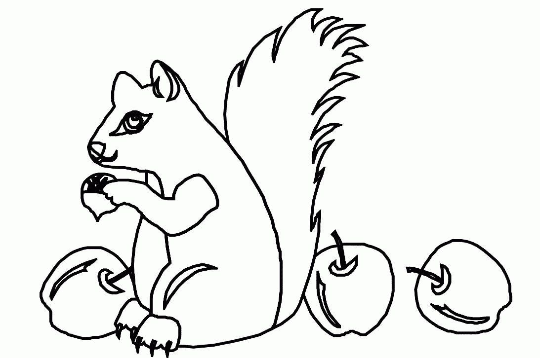 Squirrel Coloring Pages squirrel animal 9 Printable Coloring4free