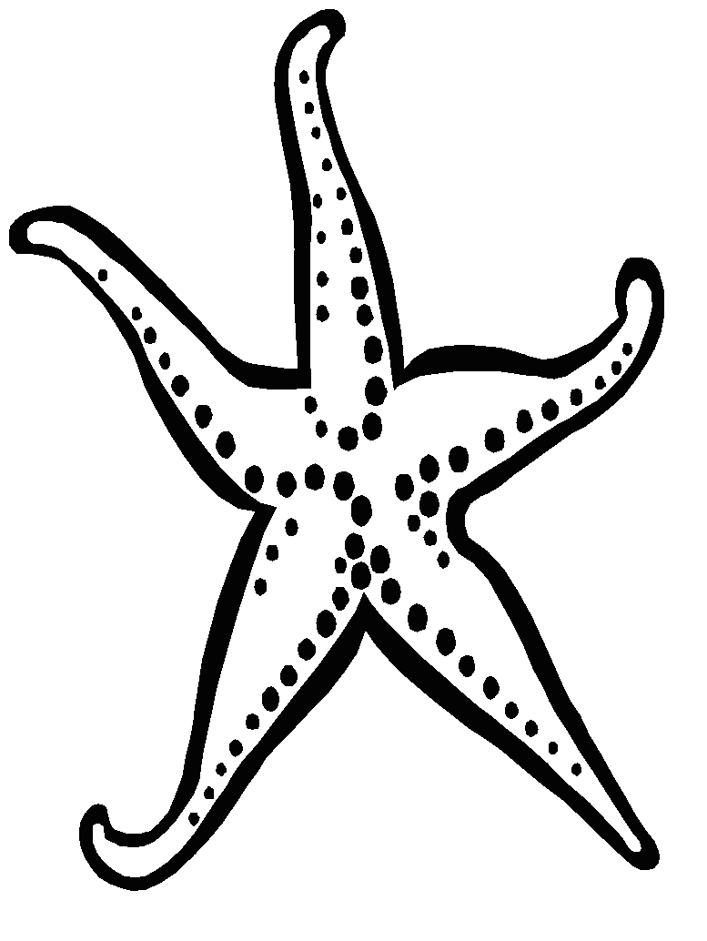Starfish Outline Coloring Pages starfish Printable Coloring4free