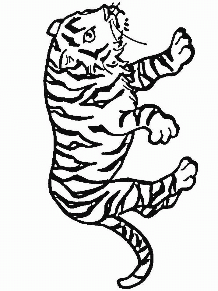 Tiger Coloring Pages tiger animal 7 Printable Coloring4free