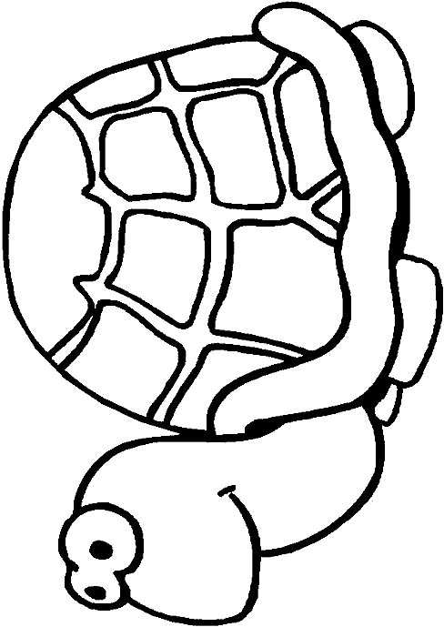 Tortoise Coloring Pages tortoise animal 1 Printable Coloring4free