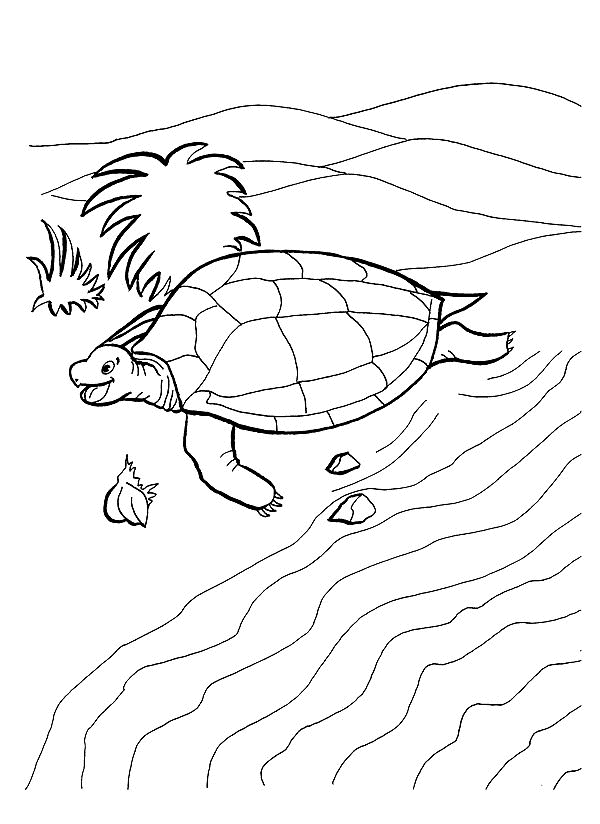 Tortoise Coloring Pages tortoise animal 20 Printable Coloring4free