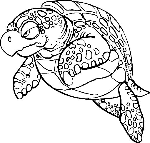 Tortoise Coloring Pages tortoise animal 3 Printable Coloring4free