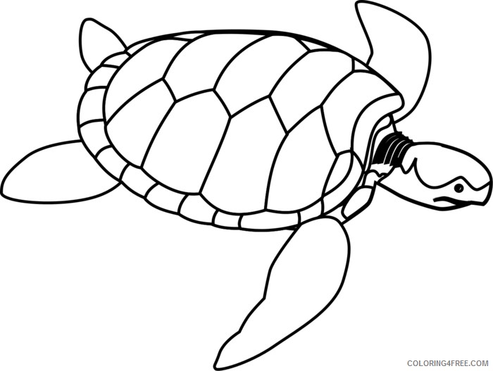 Turtle Outline Coloring Pages green sea turtle line art Printable Coloring4free