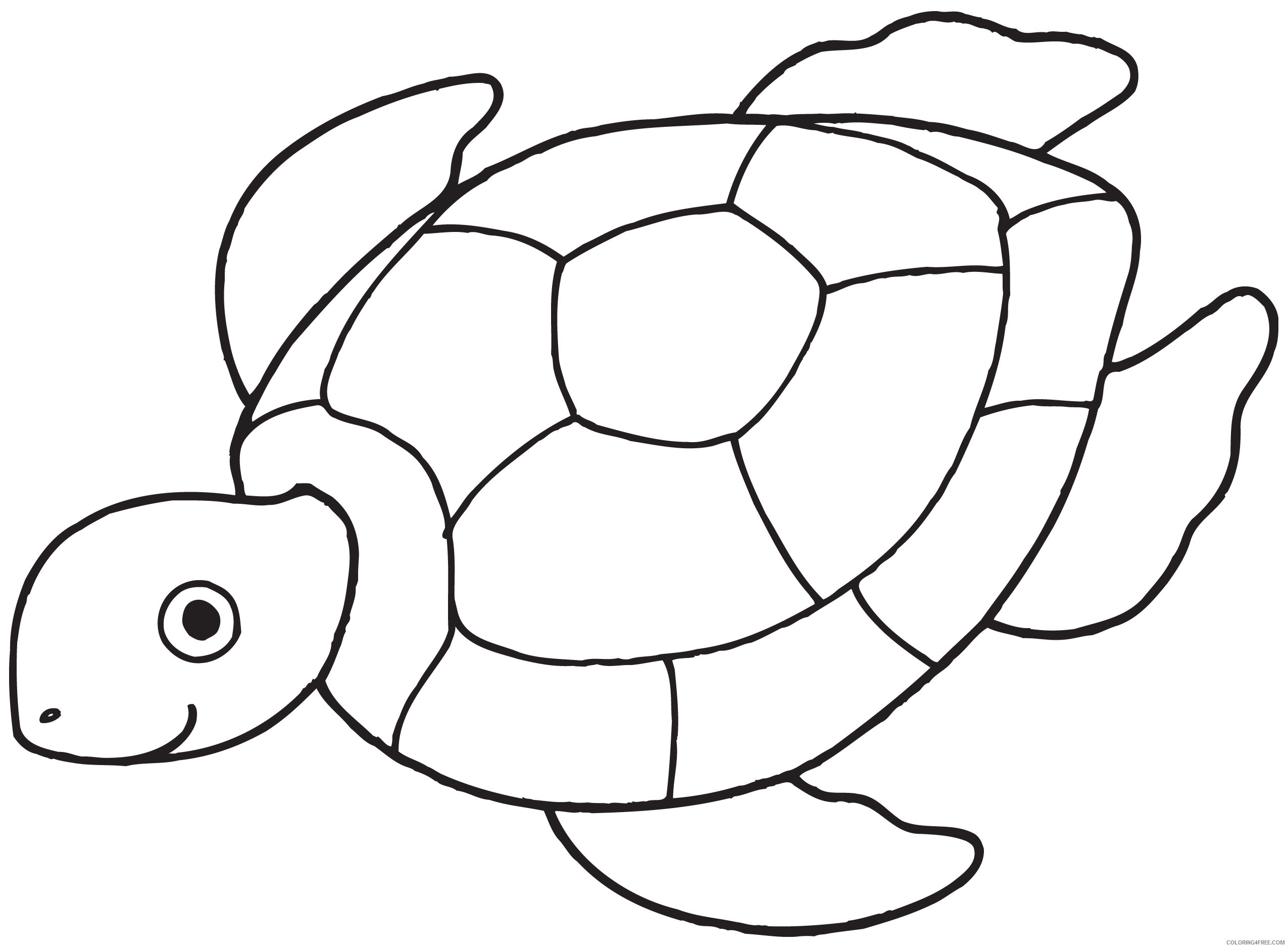 Turtle Outline Coloring Pages Lagger Head Sea Turtle For Printable Coloring4free Coloring4free Com