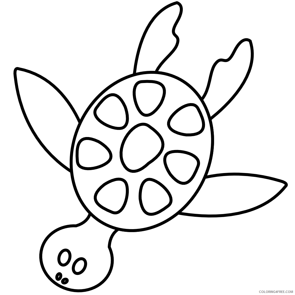 Turtle Outline Coloring Pages turtle 28 png Printable Coloring4free