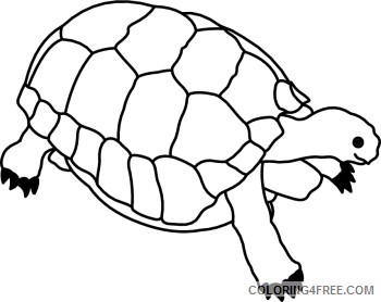Turtle Outline Coloring Pages turtle black and Printable Coloring4free