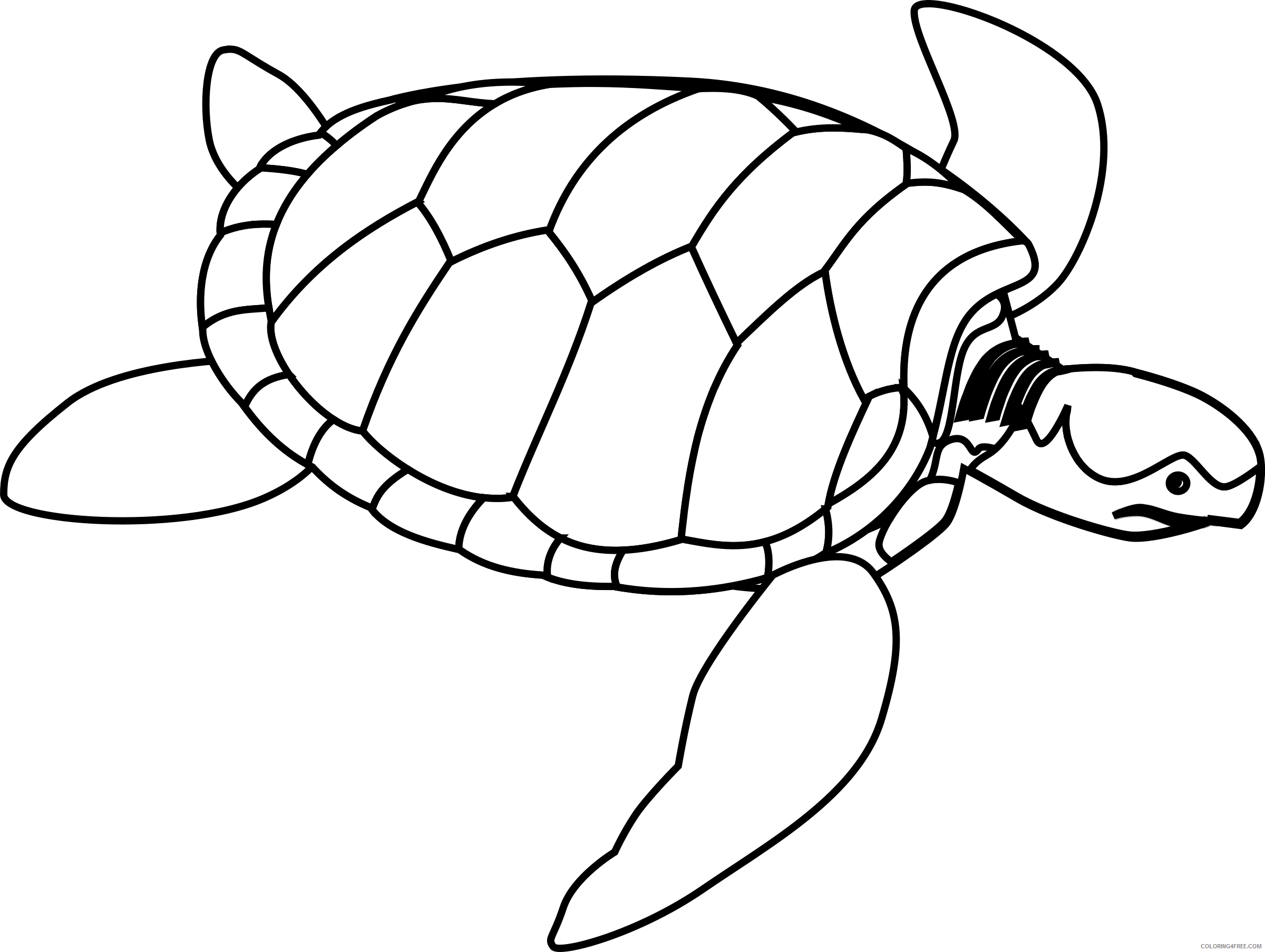 Turtle Outline Coloring Pages turtle line art valessiobrito green Printable Coloring4free