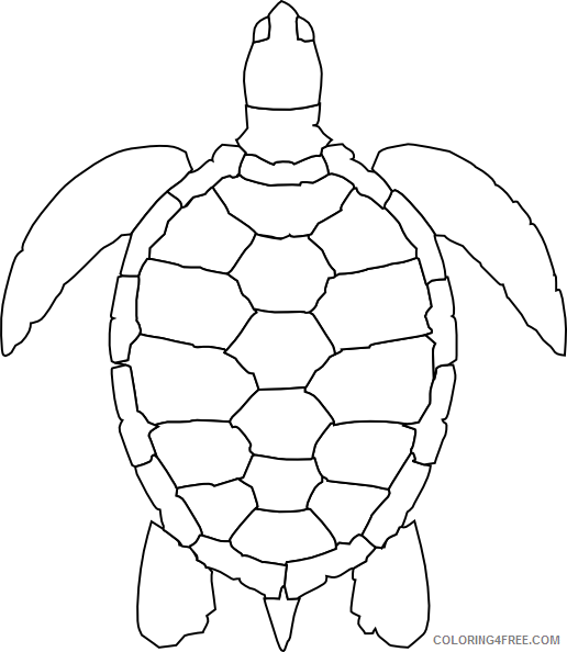 Turtle Outline Coloring Pages turtle outline at Printable Coloring4free