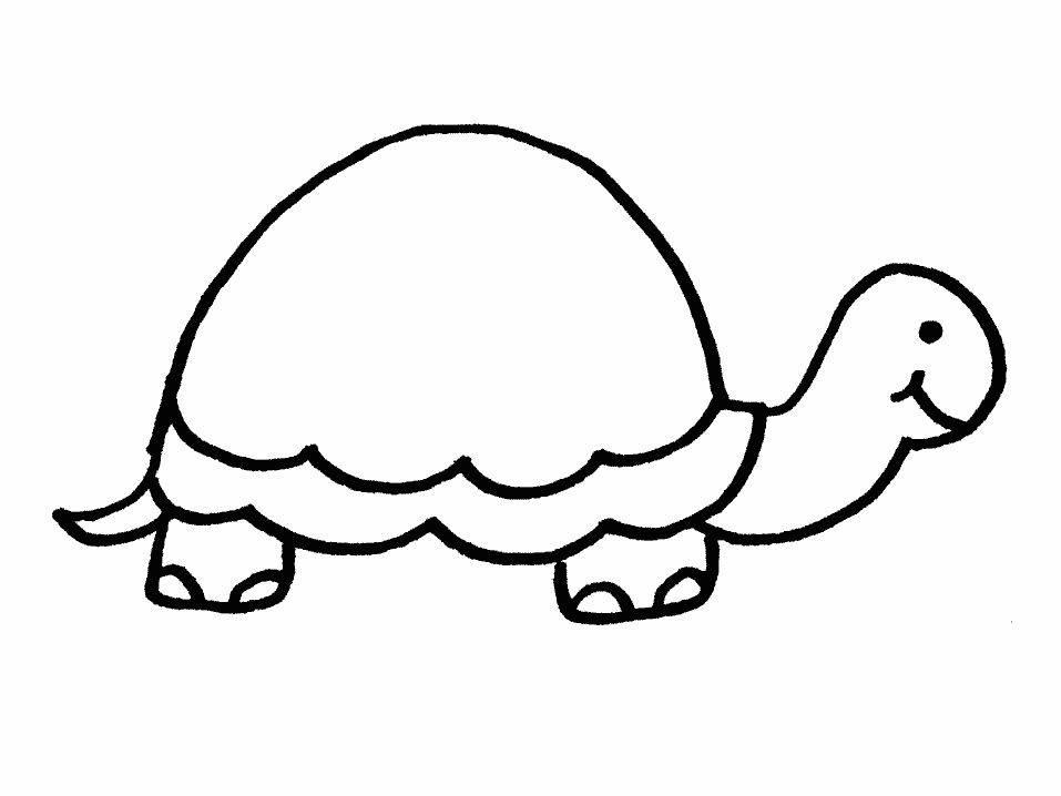 Turtle Outline Coloring Pages turtles LD0Ney clipart Printable Coloring4free
