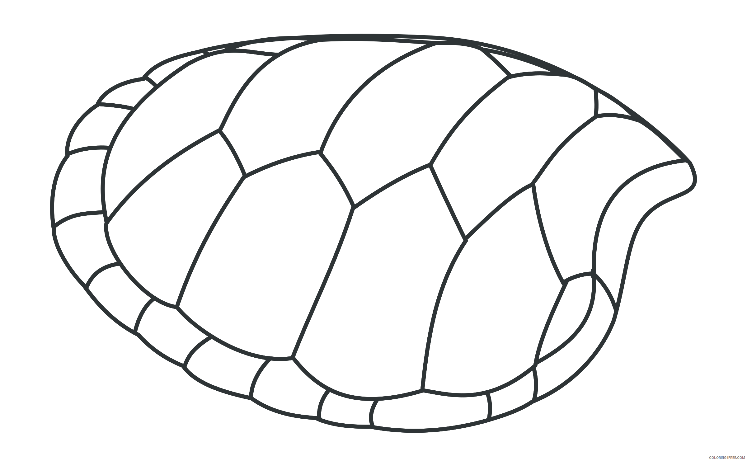 Turtle Outline Coloring Pages valessiobrito hoof of green turtle Printable Coloring4free