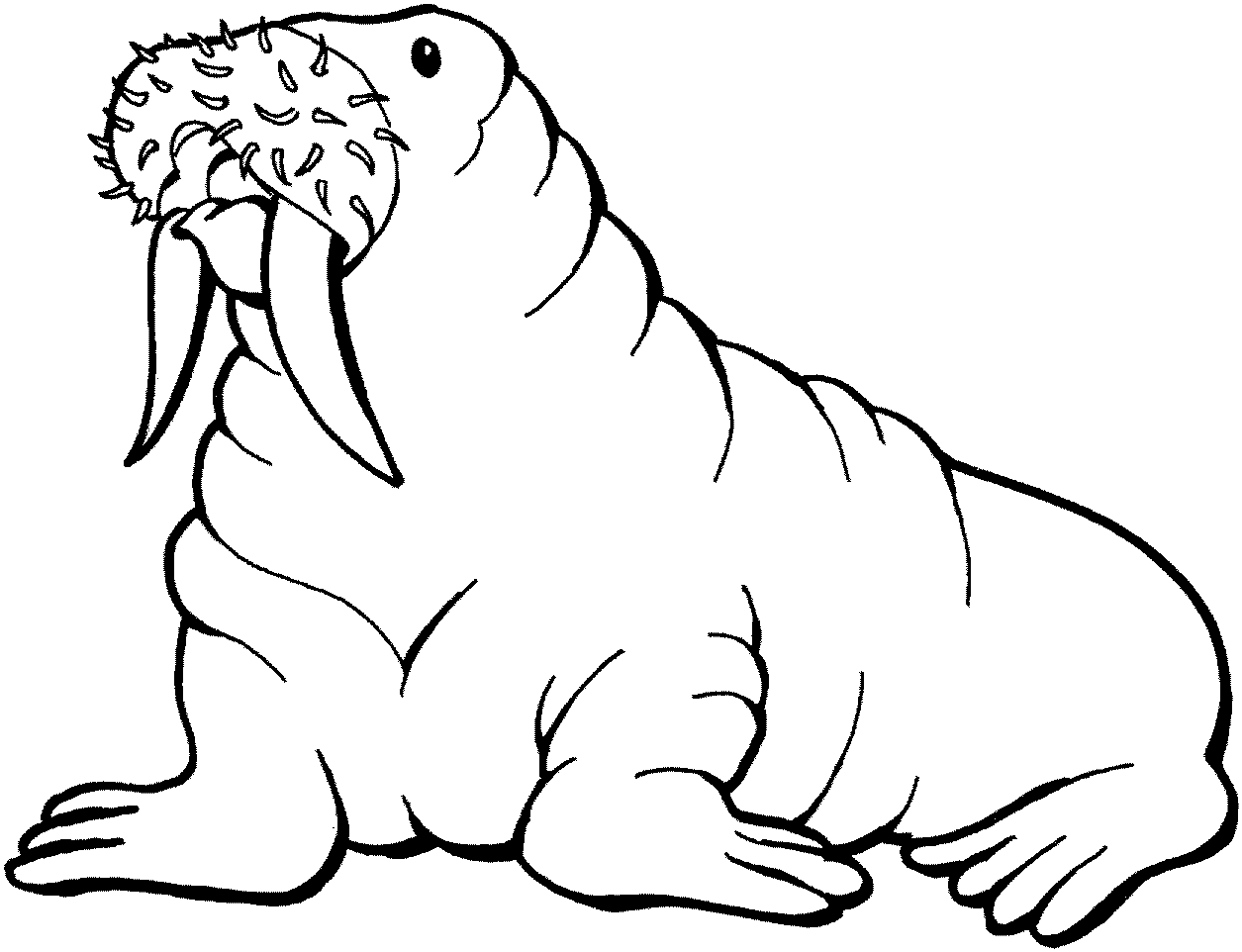Walrus Coloring Pages walrus 12 gif Printable Coloring4free