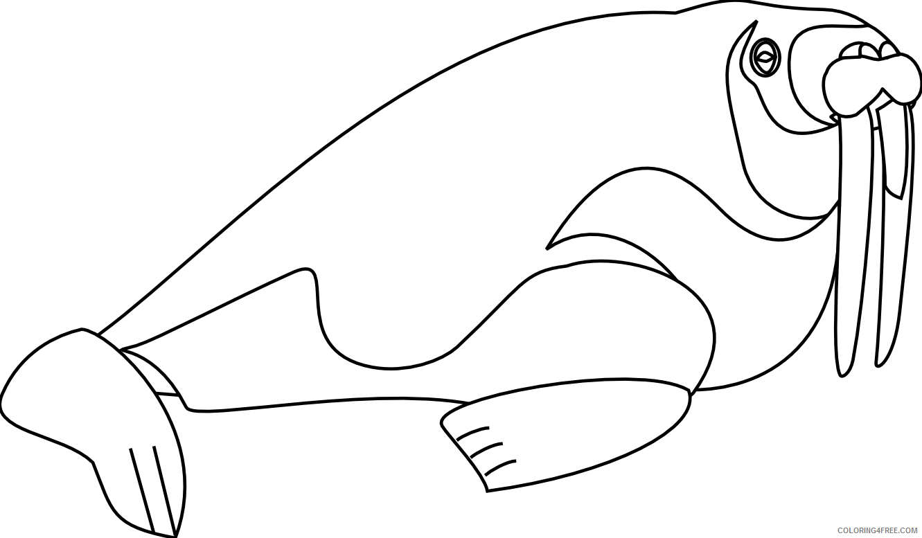 Walrus Coloring Pages walrus Printable Coloring4free