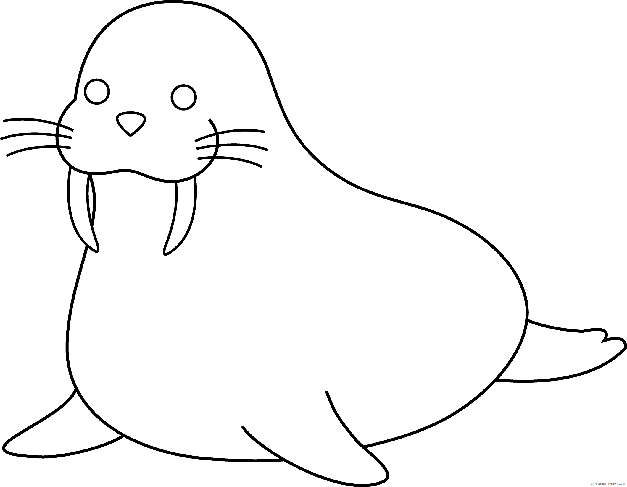 Walrus Coloring Pages walrus pictures bfree Printable Coloring4free