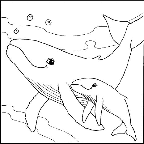 Whale Coloring Pages sea animal 9 Printable Coloring4free