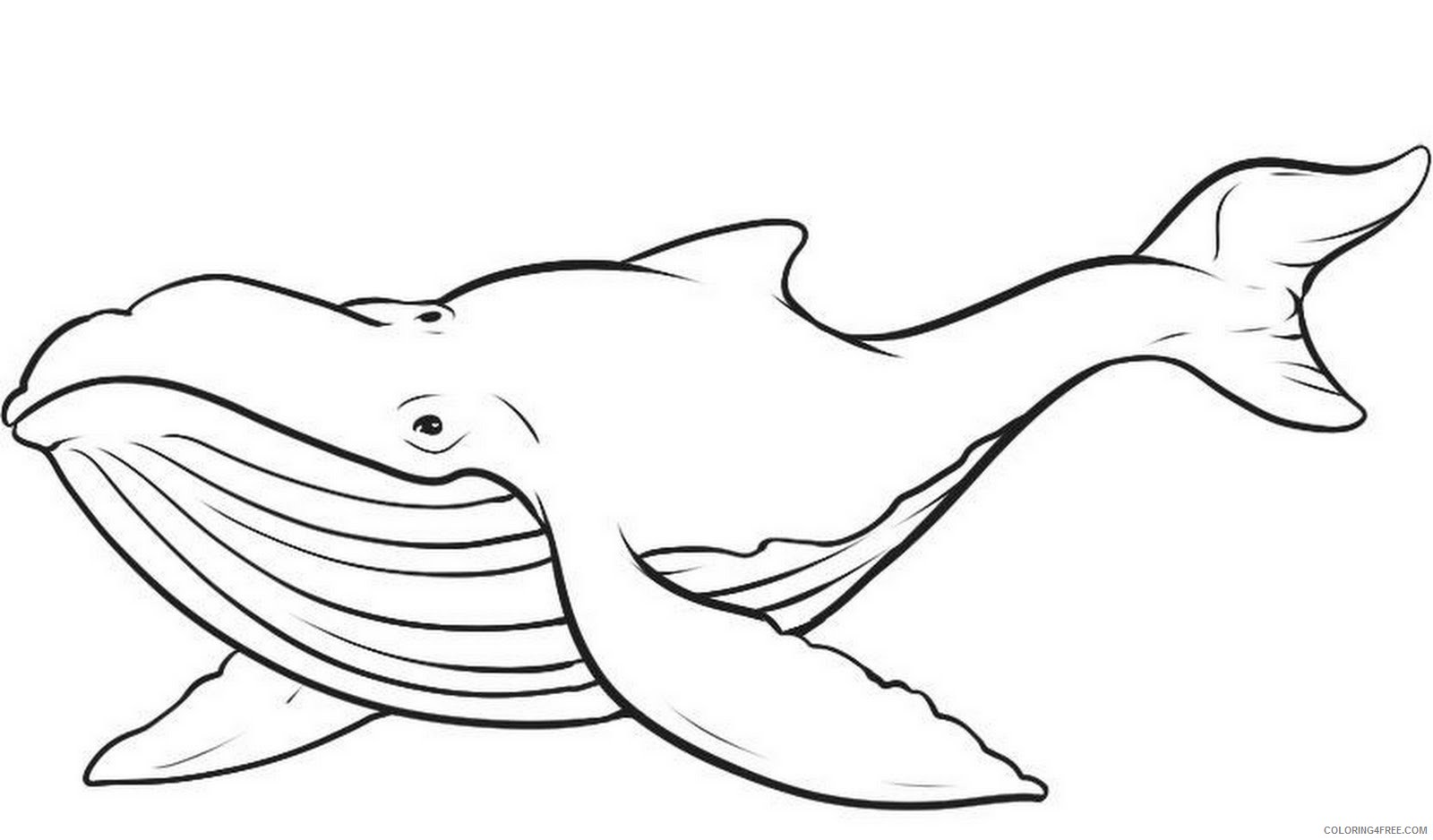 Whale Outline Coloring Pages free printable whale pages Printable Coloring4free