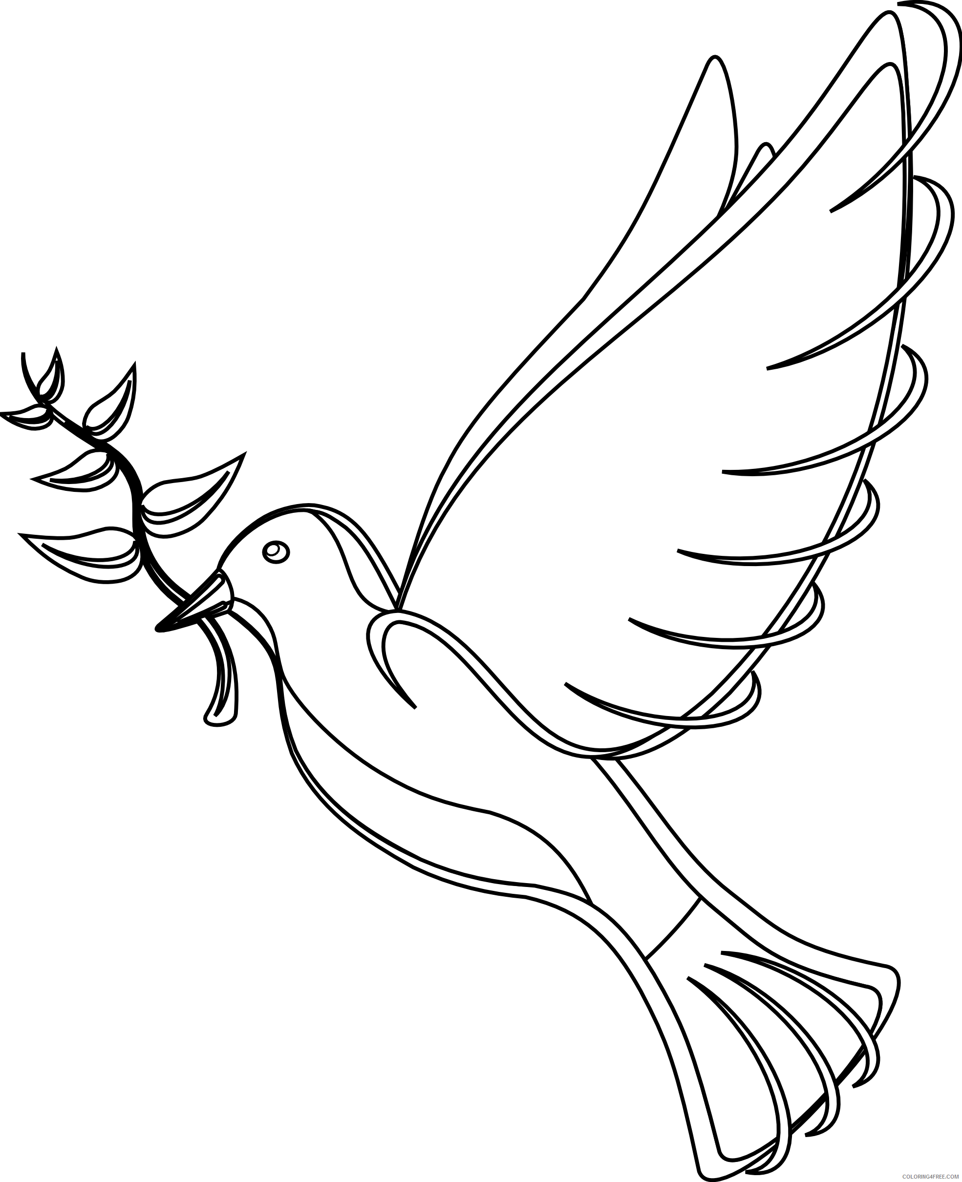 White Dove Coloring Pages white dove best Printable Coloring4free