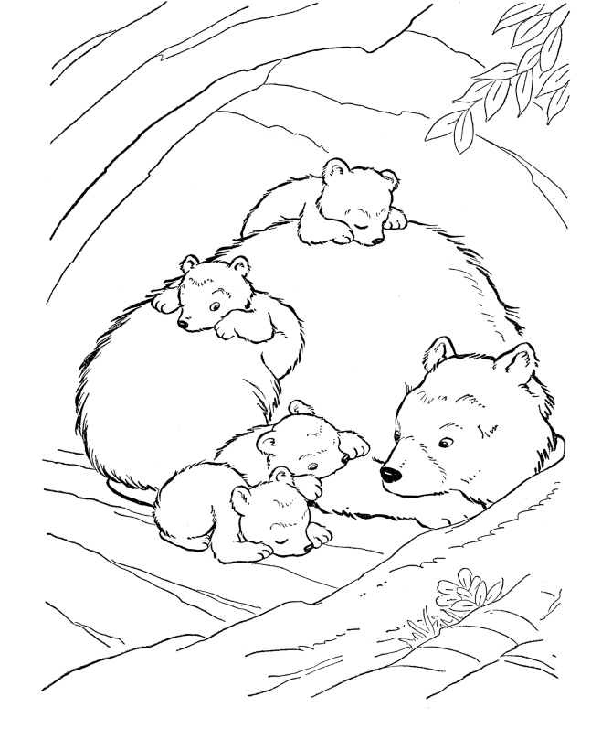 Wild Animals Coloring Pages wild animal for Printable Coloring4free