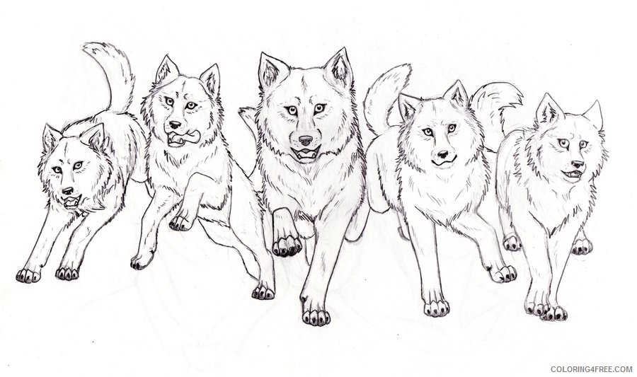 wolf pack coloring pages pack of wolf clip art printable