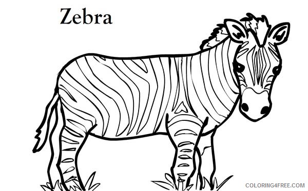 Download Zebra Coloring Pages Zebra Short Zebra Printable Coloring4free Coloring4free Com