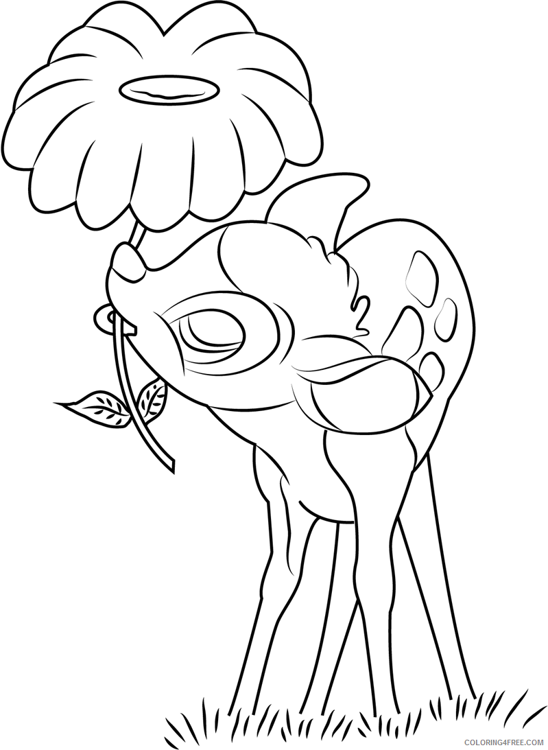 Bambi Coloring Pages Cartoons 1531534474_bambi gnawing flower a4 Printable 2020 0917 Coloring4free