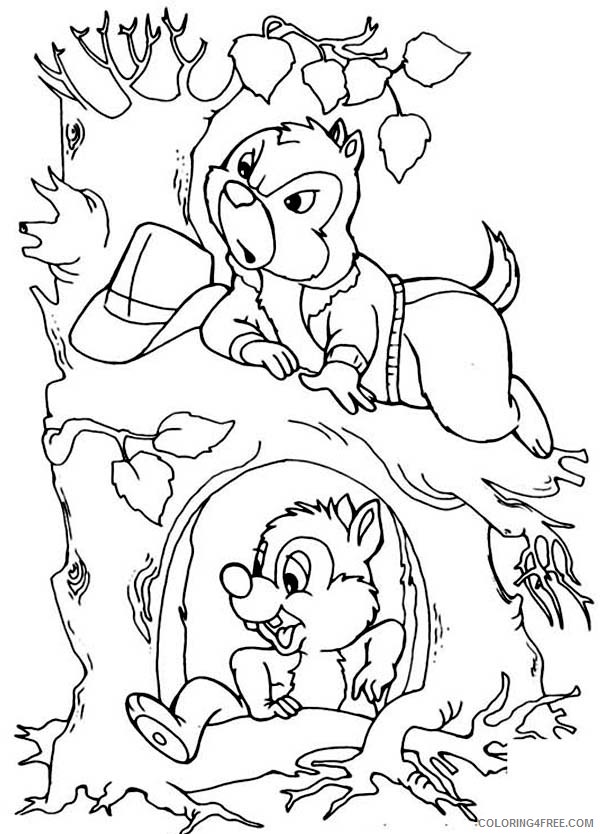 Chip and Dale Coloring Pages Cartoons Chip and Dale Came Out from Their Tree Printable 2020 1658 Coloring4free