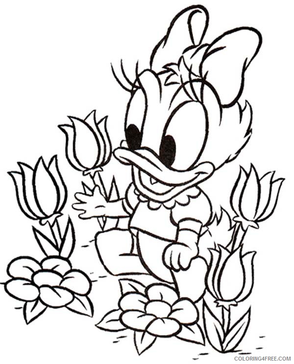 Daisy Duck Coloring Pages Cartoons Baby Daisy Duck Picking Flower Printable 2020 1986 Coloring4free Coloring4free Com