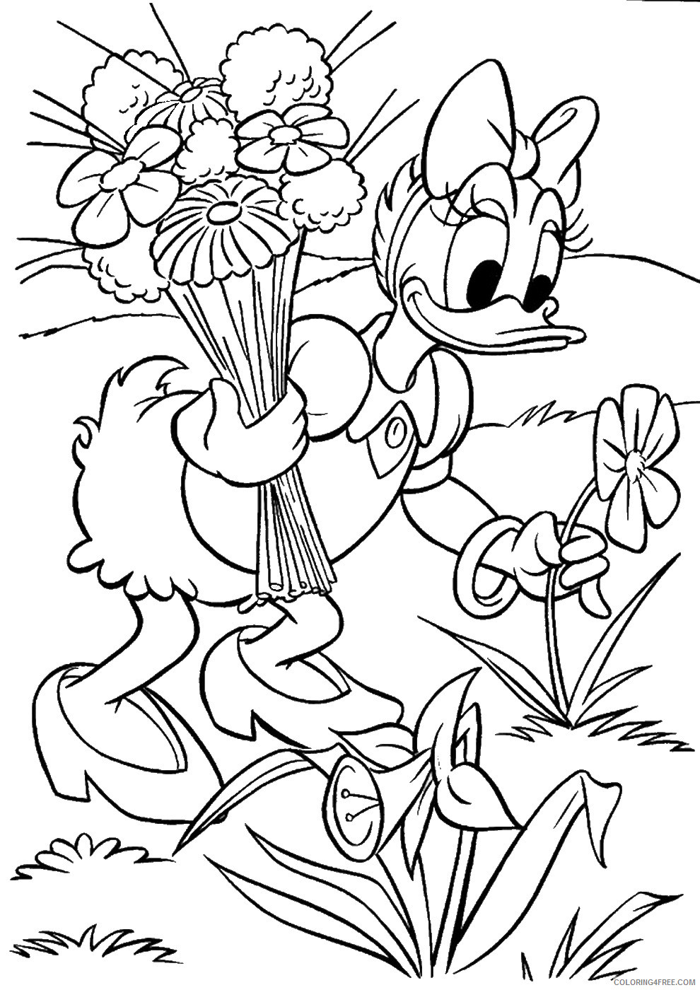Daisy Duck Coloring Pages Cartoons donald_22 Printable 2020 2019 Coloring4free