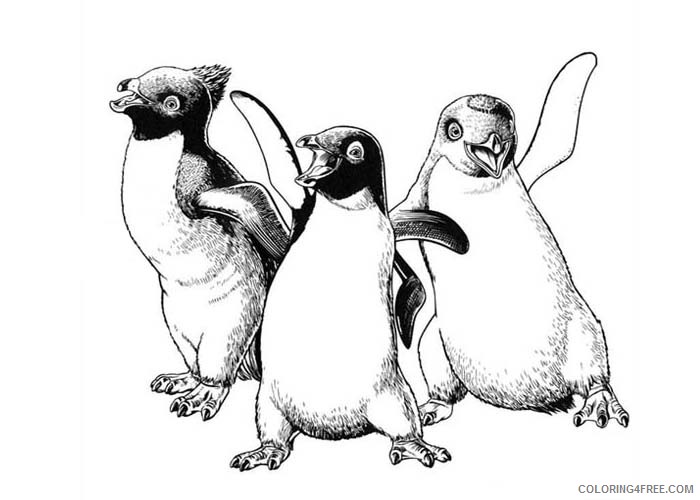 Happy Feet Coloring Pages Cartoons Happy Feet friends Printable 2020 3080 Coloring4free