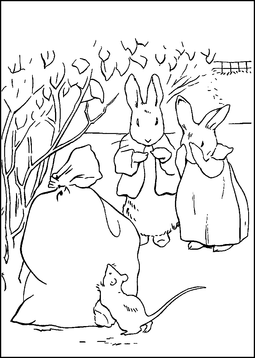 Peter Rabbit Coloring Pages Cartoons peter rabbit20 Printable 2020 4889 Coloring4free