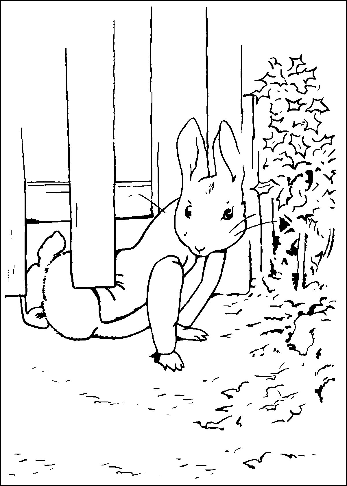 Peter Rabbit Coloring Pages Cartoons peter rabbit3 Printable 2020 4894 Coloring4free