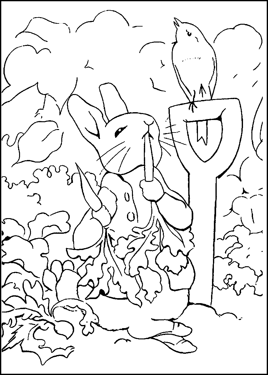 Peter Rabbit Coloring Pages Cartoons peter rabbit4 Printable 2020 4895 Coloring4free