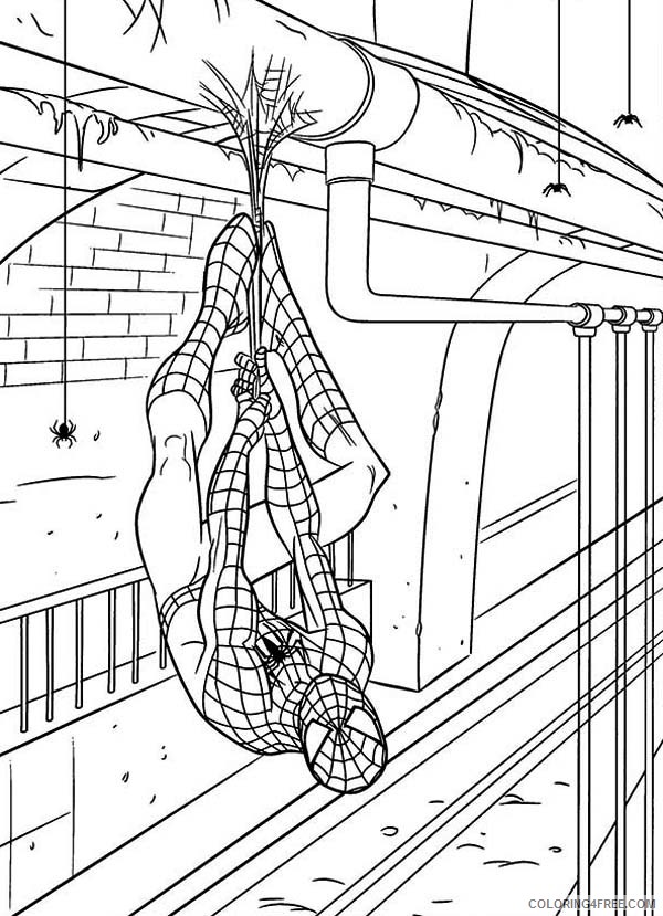 Spider Man Coloring Pages Superheroes Printable 2020 Coloring4free