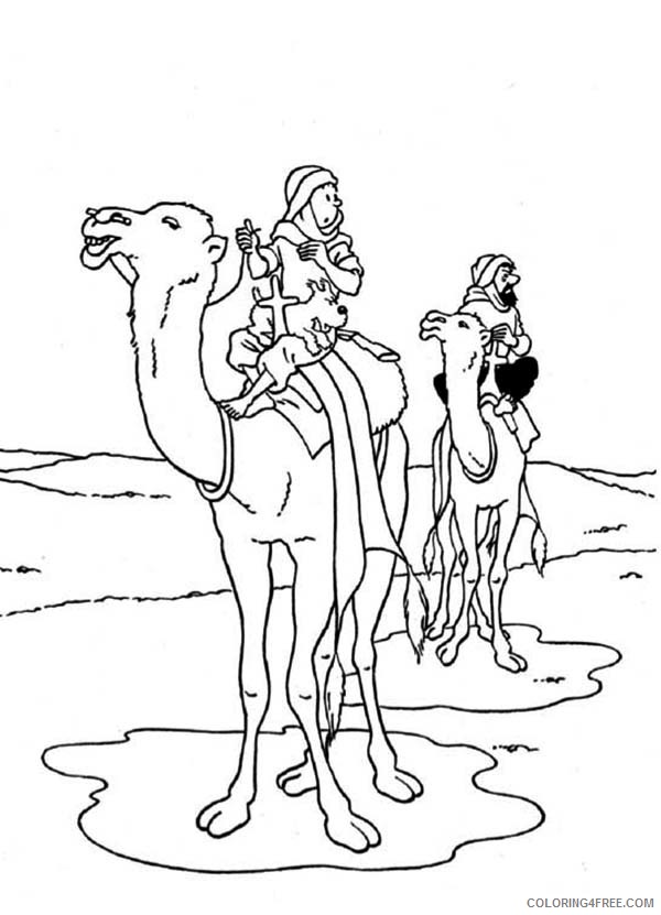 Tintin Coloring Pages Cartoons Tintin Ride Camel in the Adventures of Tintin Printable 2020 6722 Coloring4free