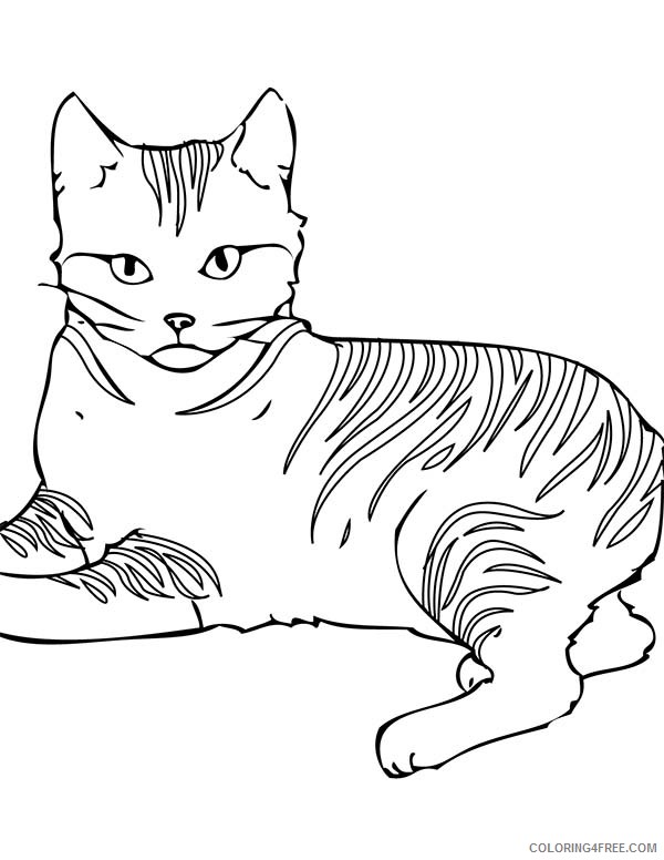 Warrior Cats Coloring Pages Cartoons Warrior Cat Printable 2020 6885 Coloring4free