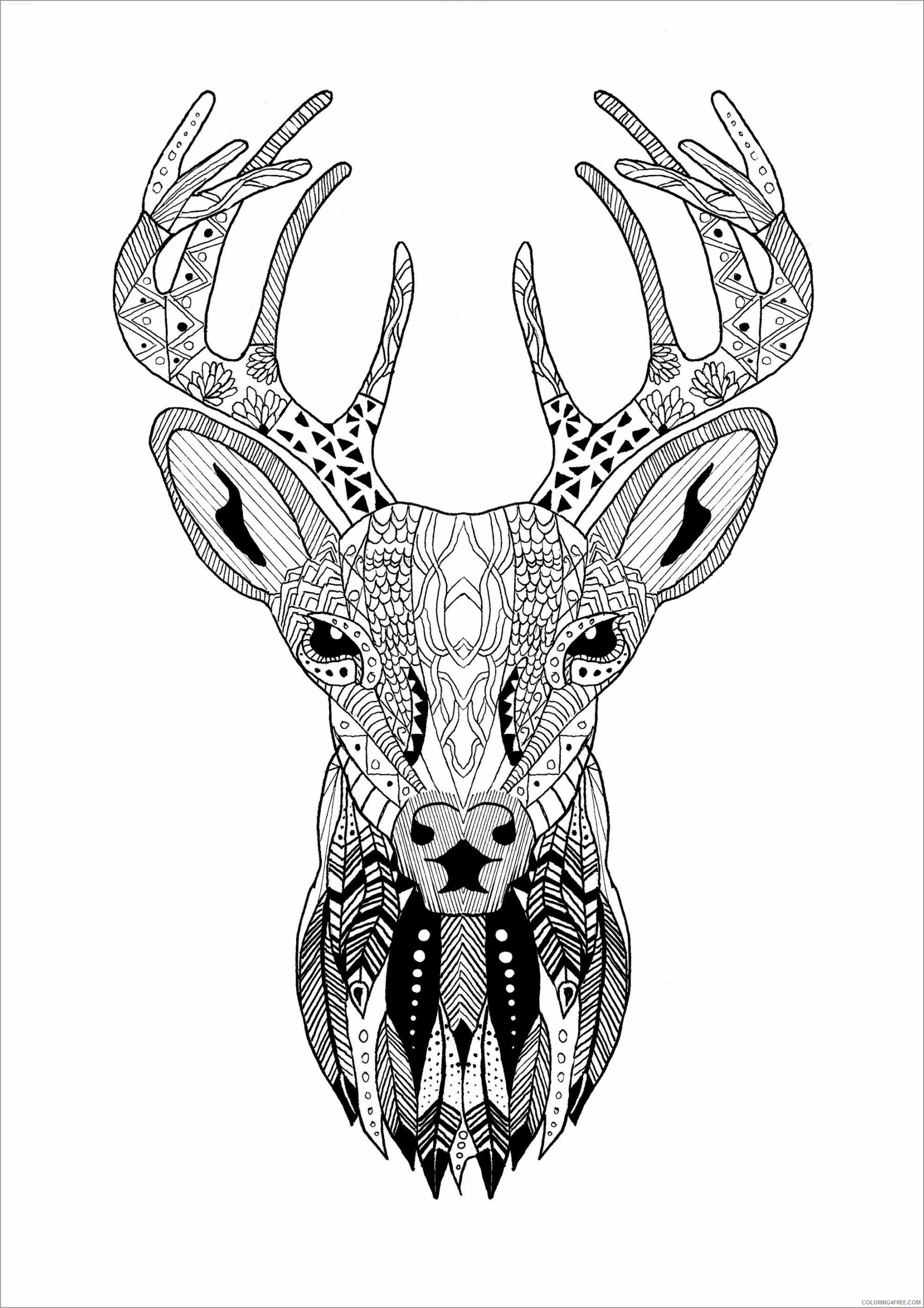 Adult Christmas Coloring Pages zentangle reindeer head for adult 2020 134 Coloring4free