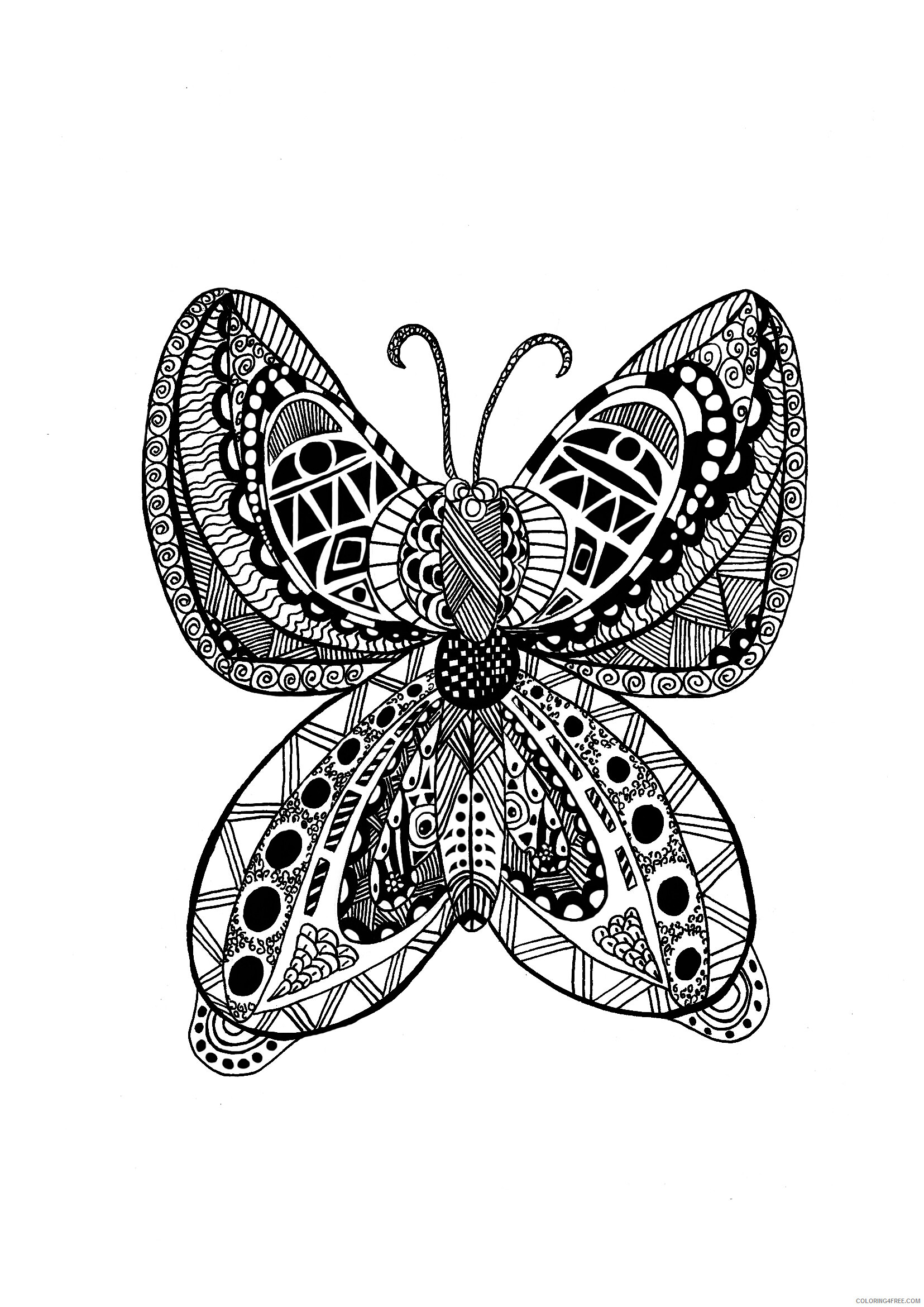 Animal Zentangle Coloring Pages adults butterfly zentangle celine Printable 2020 149 Coloring4free