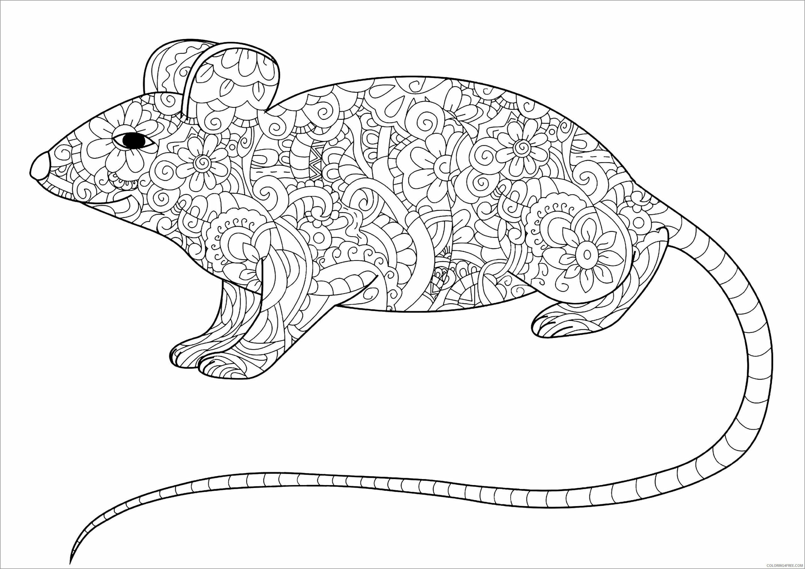 Animal Zentangle Coloring Pages mandala zentangle rat for adult unsmushed Printable 2020 170 Coloring4free