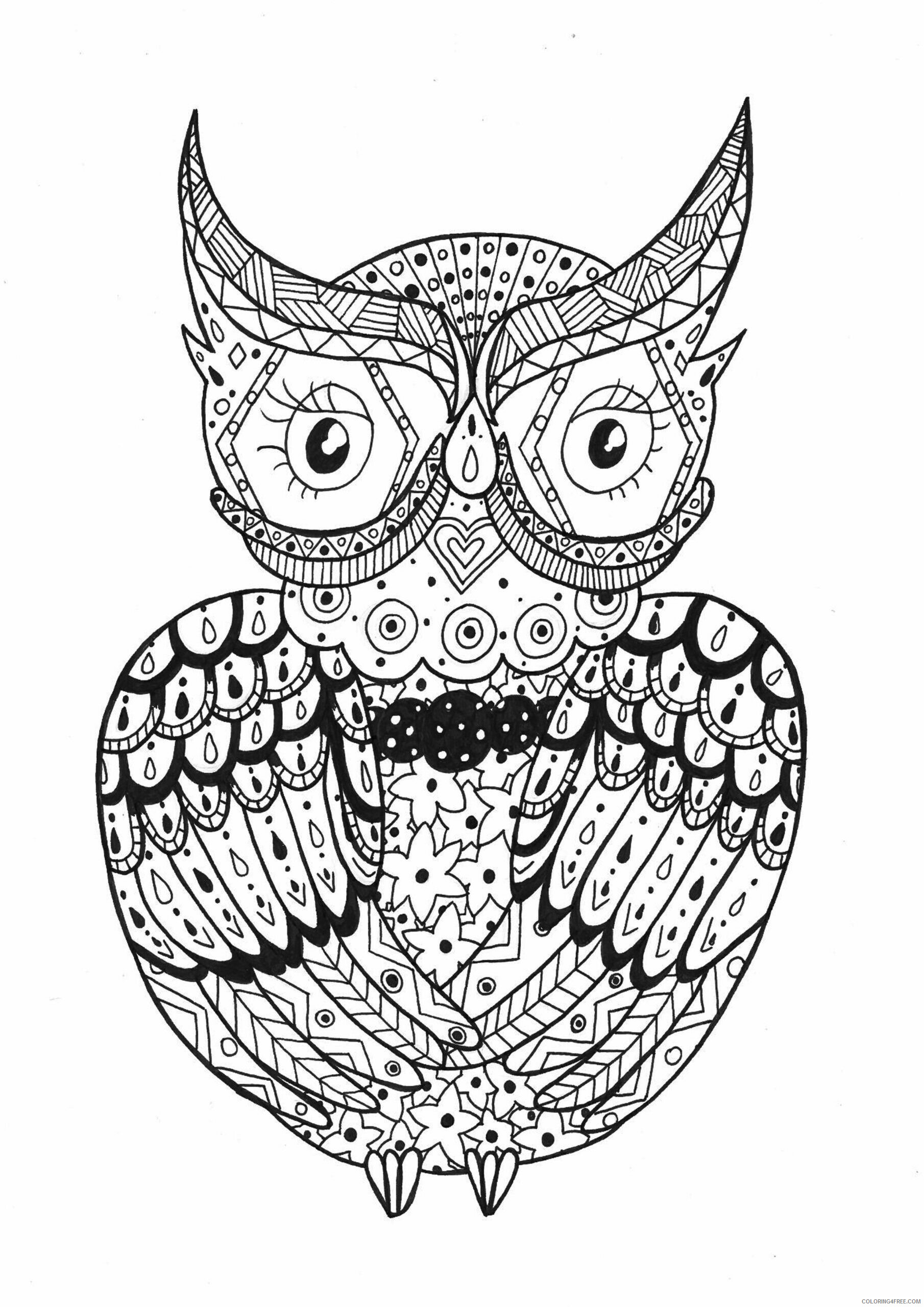 Animal Zentangle Coloring Pages owl Printable 2020 171 Coloring4free