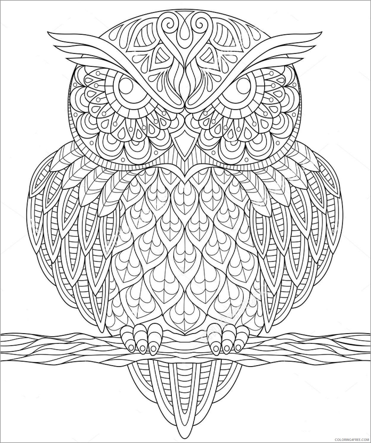 Animal Zentangle Coloring Pages owl zentangle unsmushed Printable 2020 172 Coloring4free