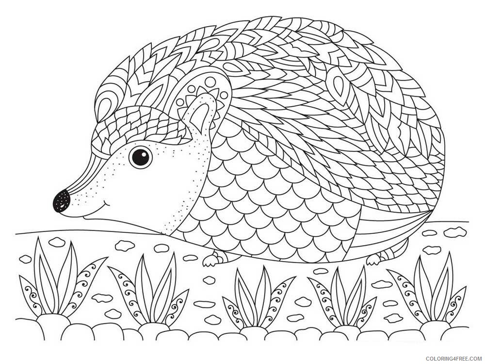 Animal Zentangle Coloring Pages zentangle Hedgehog 5 Printable 2020 382 Coloring4free