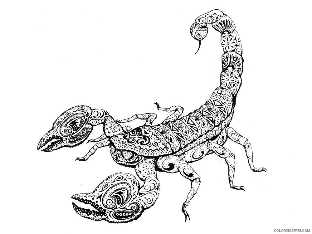 Animal Zentangle Coloring Pages zentangle Scorpio 5 Printable 2020 538 Coloring4free