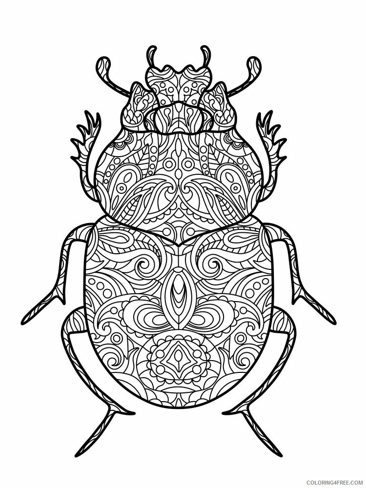 Animal Zentangle Coloring Pages zentangle beetle 11 Printable 2020 205 Coloring4free