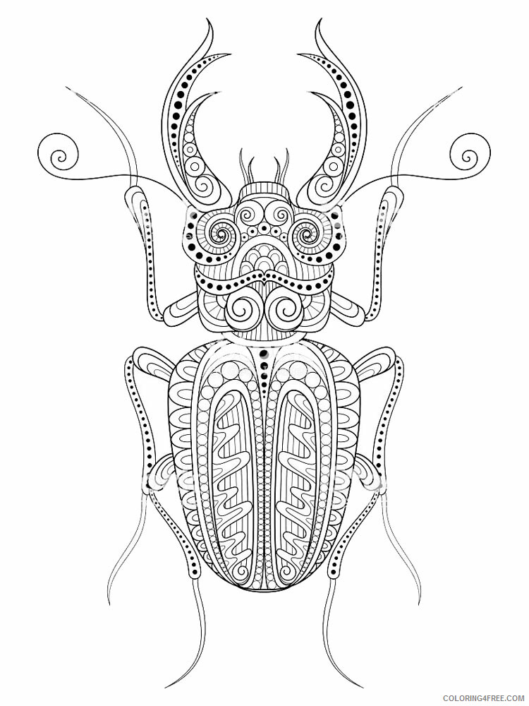 Animal Zentangle Coloring Pages zentangle beetle 7 Printable 2020 215 Coloring4free