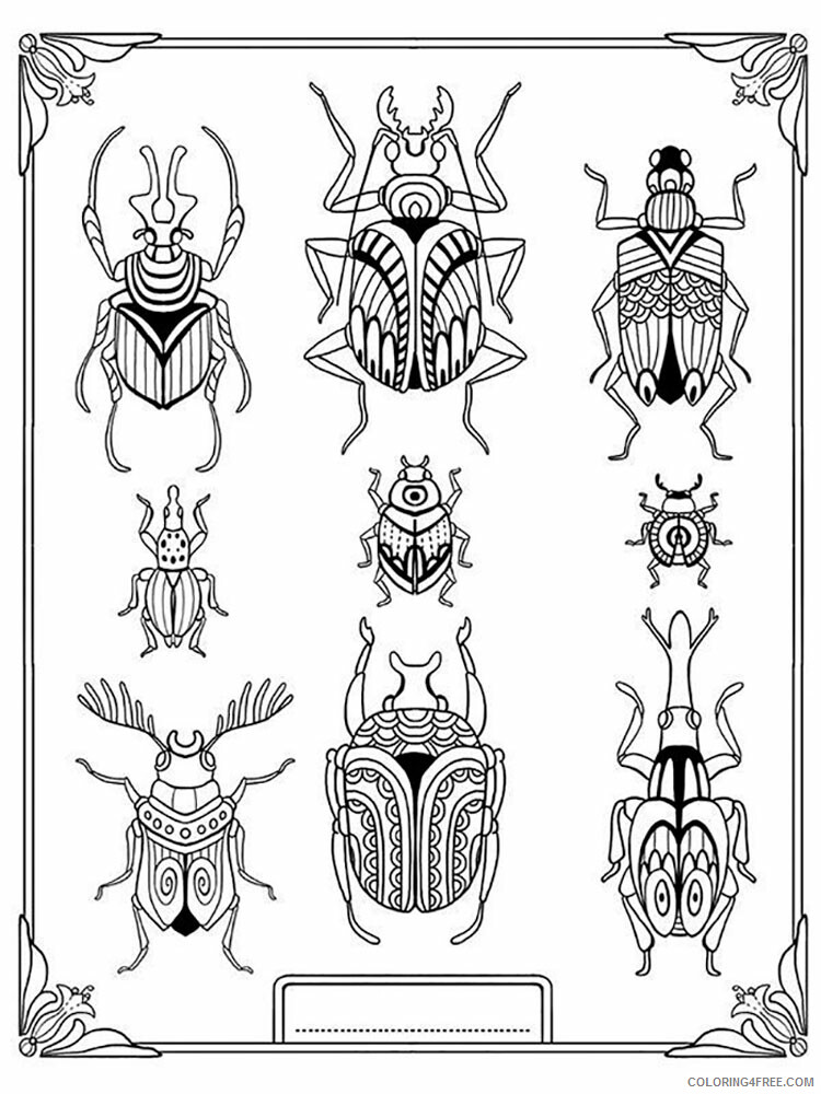 Animal Zentangle Coloring Pages zentangle beetle 8 Printable 2020 216 Coloring4free