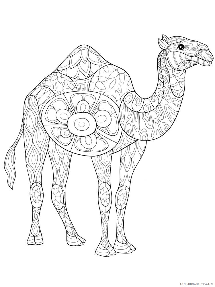 Animal Zentangle Coloring Pages zentangle camel 1 Printable 2020 219 Coloring4free