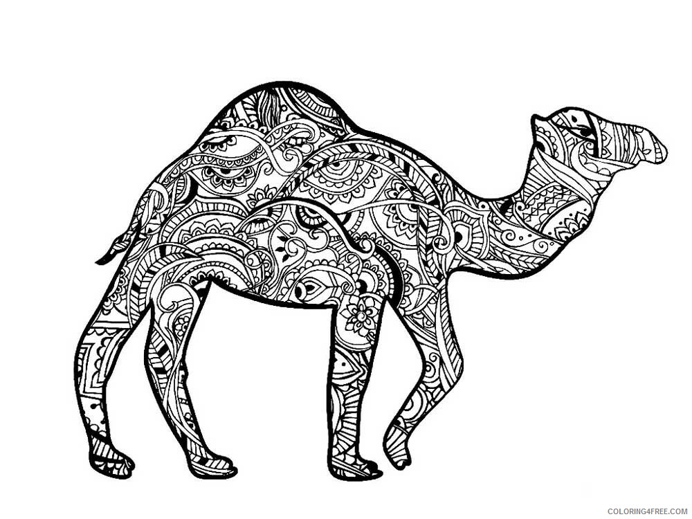 Animal Zentangle Coloring Pages zentangle camel 11 Printable 2020 221 Coloring4free
